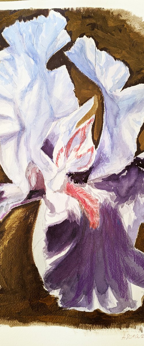 Iris on golden background Iris Flower Plant Painting Art Paper Premium Wall Decor Painting Mural Blume Pflanze Malerei Wand Deko Painting by Anna Brazhnikova by Anna Brazhnikova
