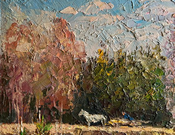 Along the Forest Road