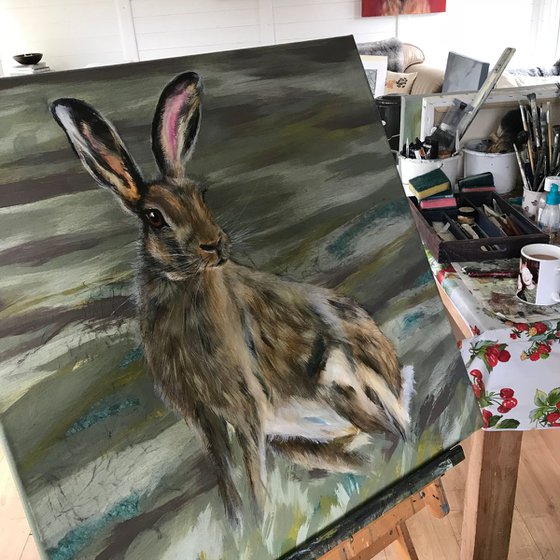 Moorland hare