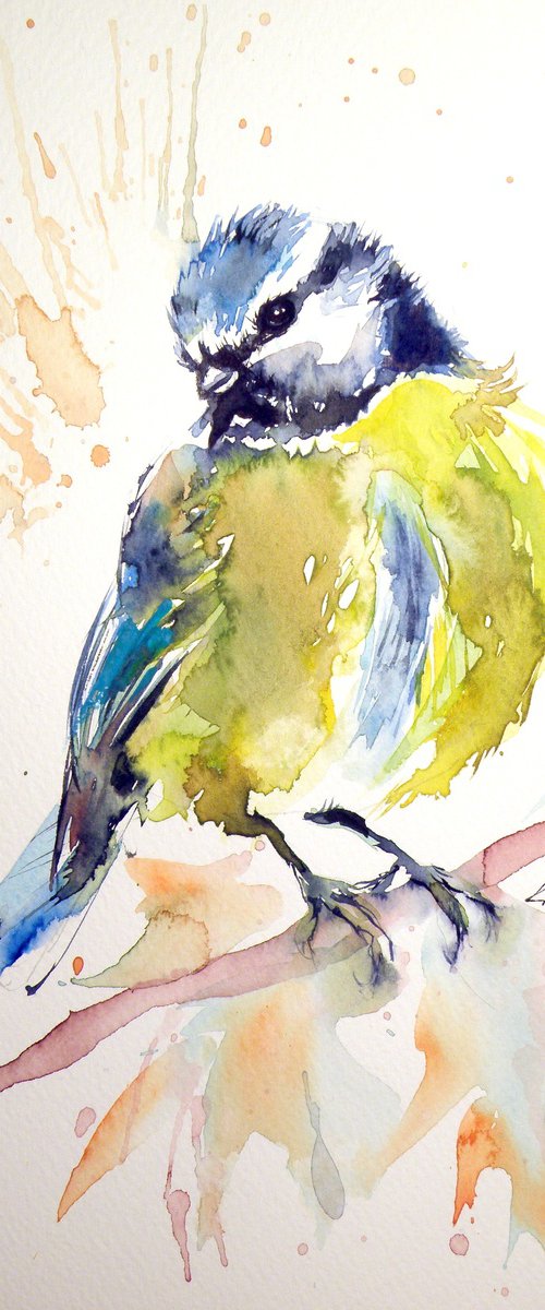 Titmouse by Kovács Anna Brigitta