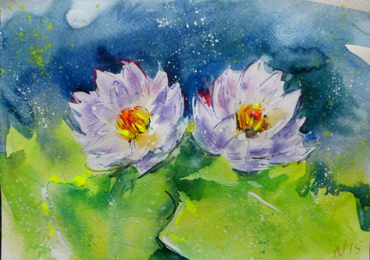 water lily by Nastasia Chertkova