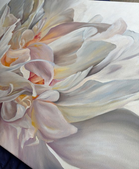 Petal by Petal