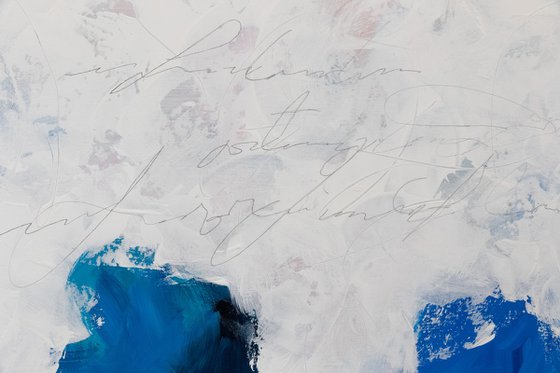 Bleuetière (Blueberry field)