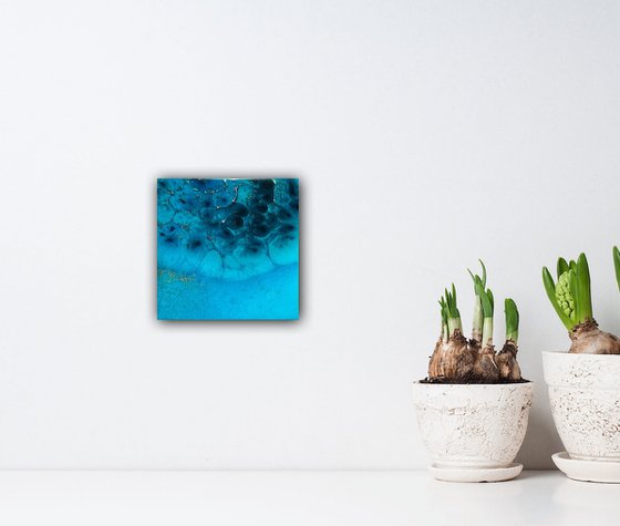 Coral reef #10