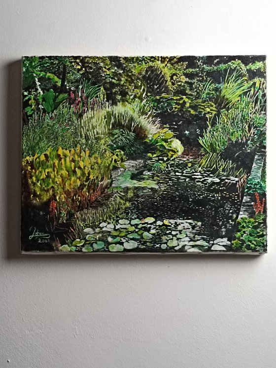 Pond and végétation