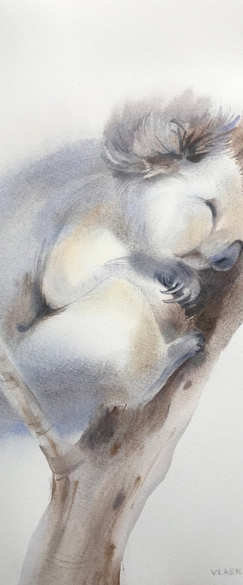 Sleeping koala. Commission for Charlie. by Alla Vlaskina
