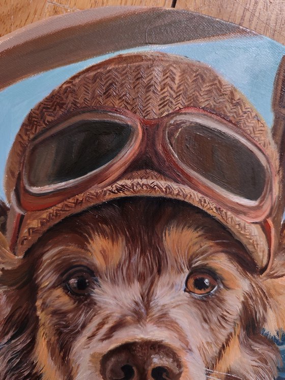 My little friend in flight