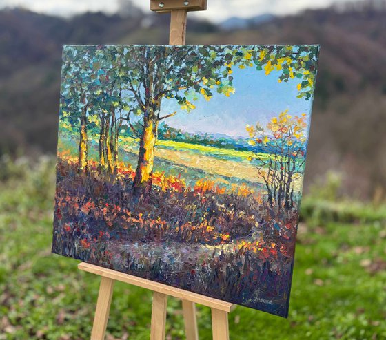 Golden Hour of Early Autumn