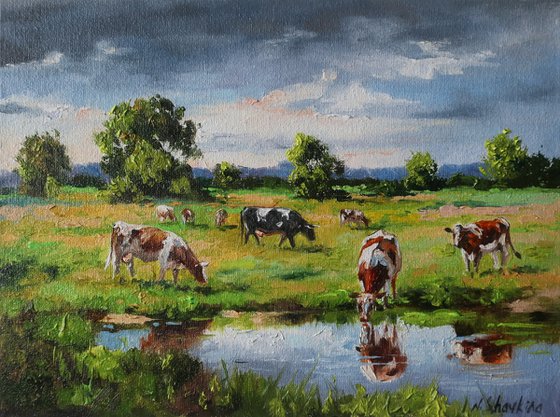 Grazing Cows