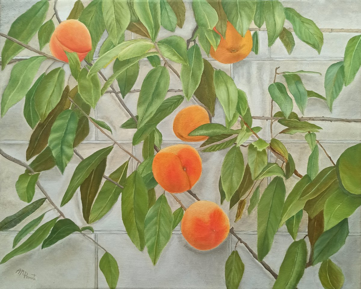 Impressionistic Botanical Oil Painting By Angeles M. Pomata, 16 X 13, Peaches, Original Artwork