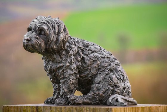 Maltese Terrier 2 Bronze Resin
