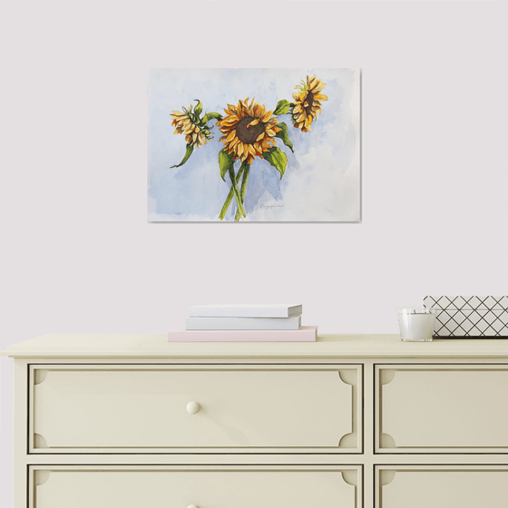 Sunflowers
