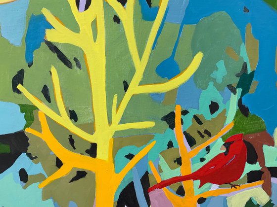 A Mr. Cardinal Visit On A Summer Afternoon