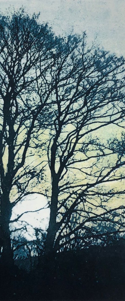 The Very Fringes of the Day (Plate 2) by Diane McLellan
