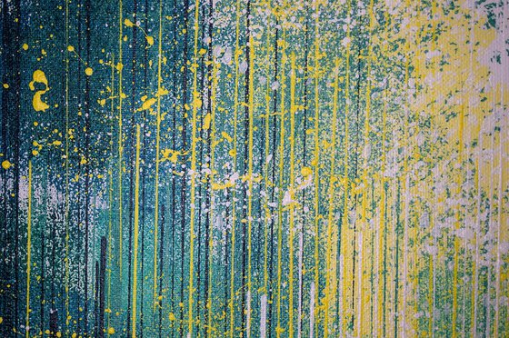 Light Through Spring Forest