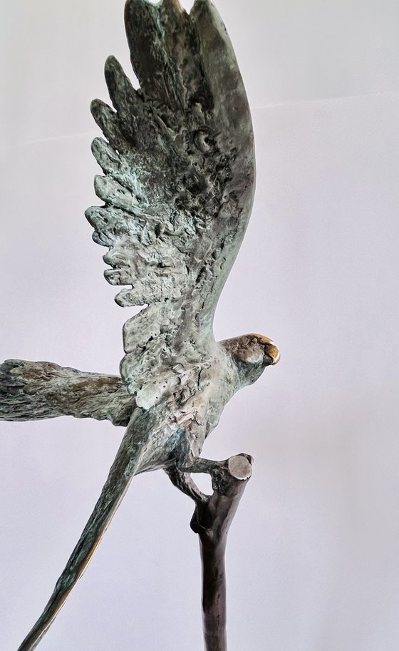 Emerald Flight Reverie, no.V/VIII