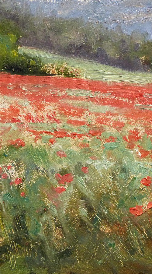 Poppies by Pascal Giroud