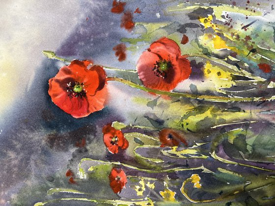 Poppies #3