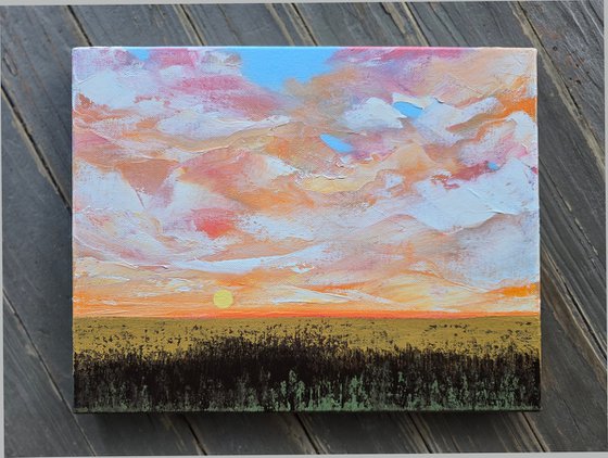 Beneath a Painted Sky