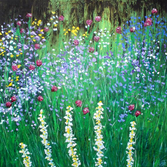 Mottistone Gardens