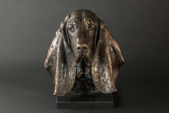 Basset Portrait Bronze