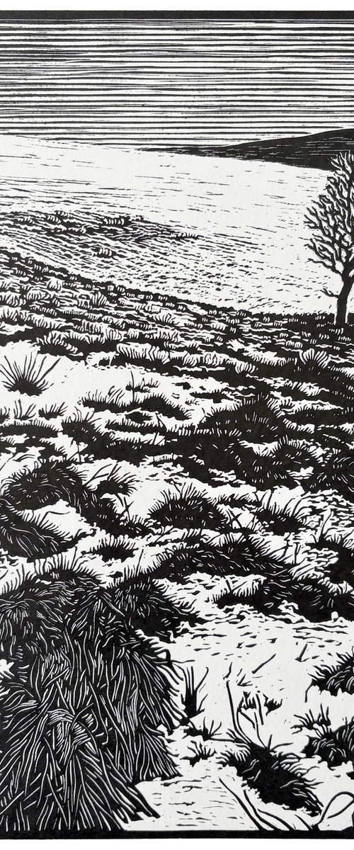 THE DOG AND THE BIRD - GLEN CLOVA by Gregory Millar