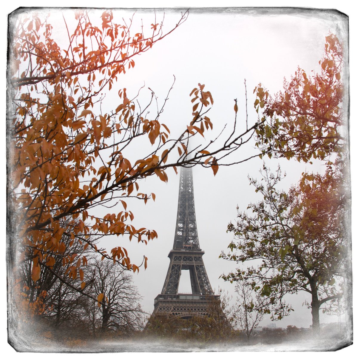 Expressive Photograph , Tour Eiffel By Louise O