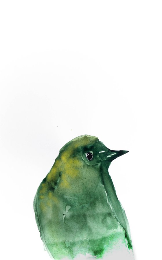 Bird