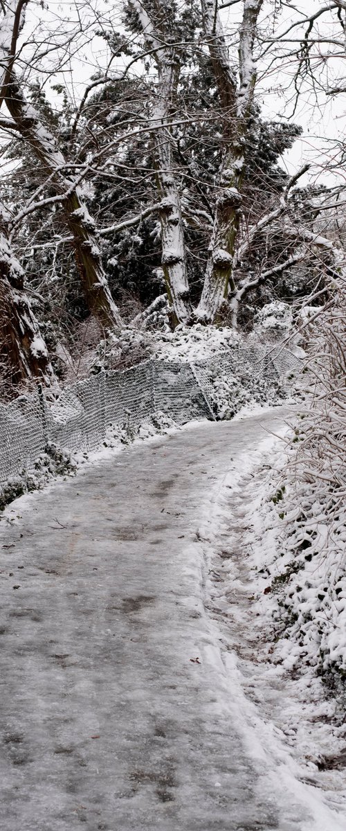 Icy Path (El Eterno Cajoneado #35) by Carla Piacenza