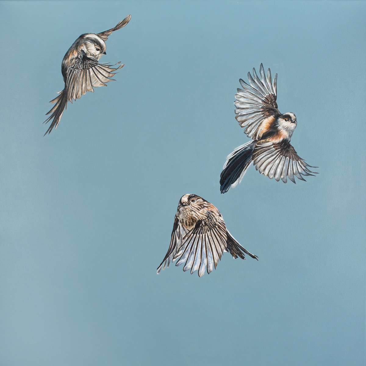 Illustrative Animal Oil Painting By Natalie Toplass, 32 X 32", Friends In Flight, Original Artwork
