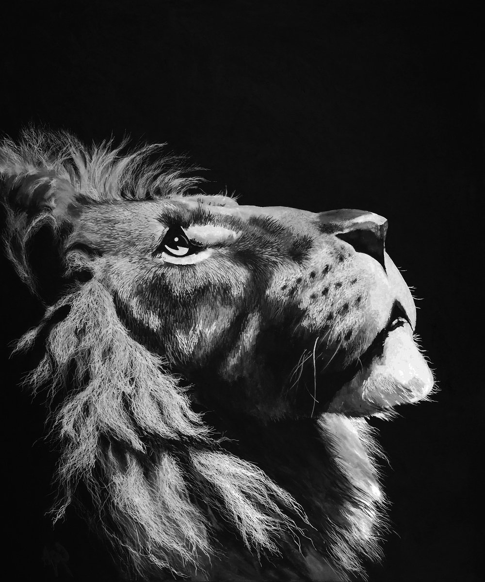  Pride By Nicolas Goia, 39 X 47, Artwork For Sale On Artfinder