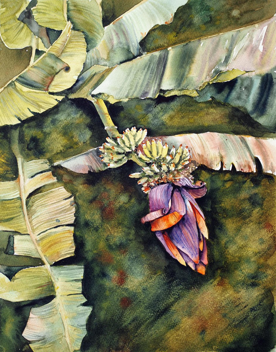 Impressionistic Botanical Watercolour By Delnara El, 11 X 14, Tropical Story, Original Artwork