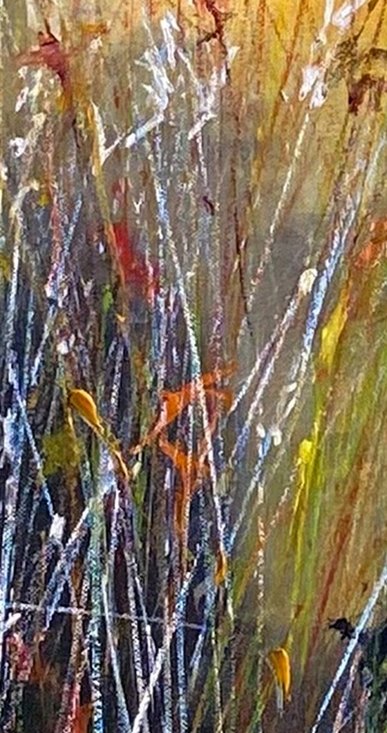 D'Agosto