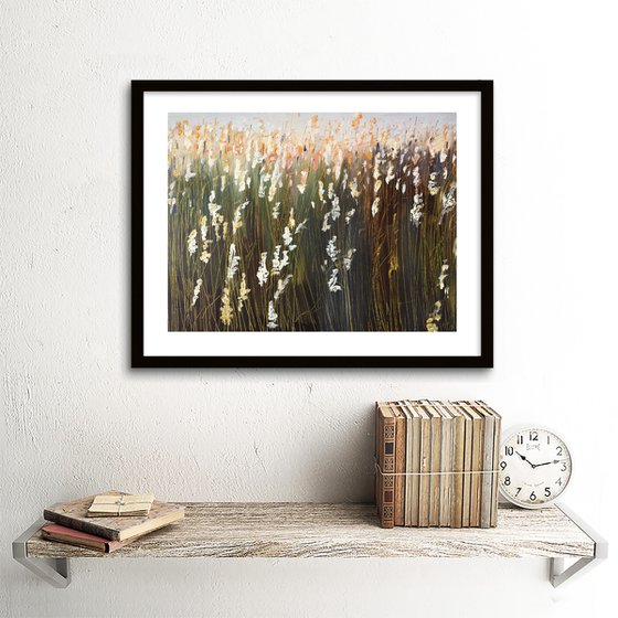 Colourful Reeds