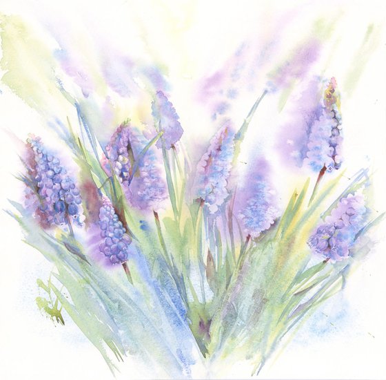 Muscari - Watercolour painting of Grape Hyacinth, Spring Flowers, Floral Wall Art