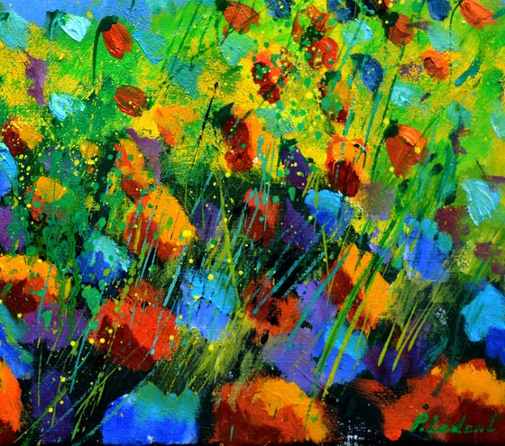 Poppies near my Home