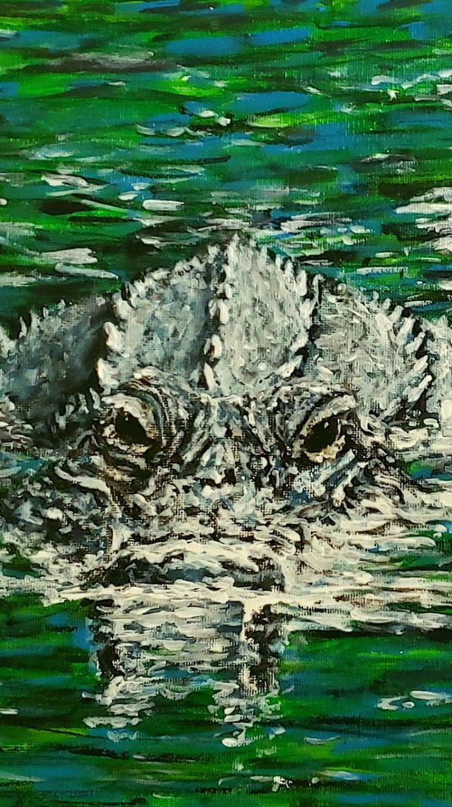 Alligator Swimming This Way by Robbie Potter