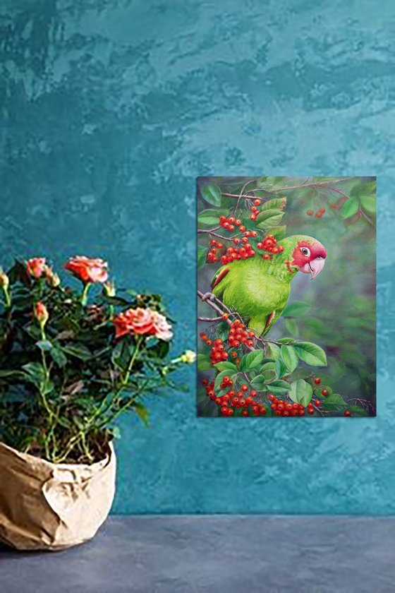 A Very Friendly Parrot