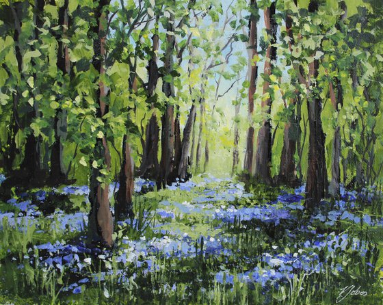 Bluebell Woods