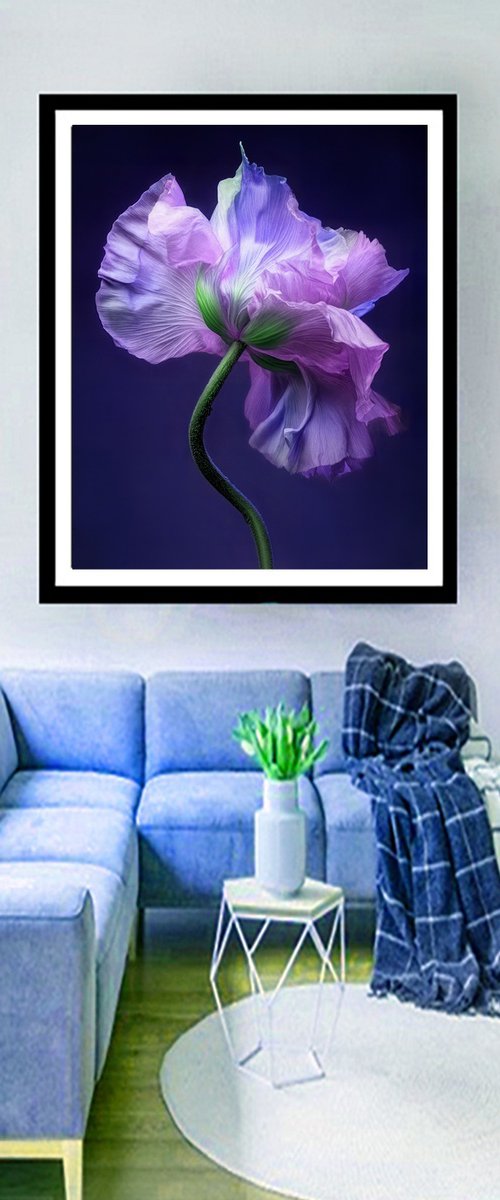 Botanical Grace 3 by MICHAEL FILONOW
