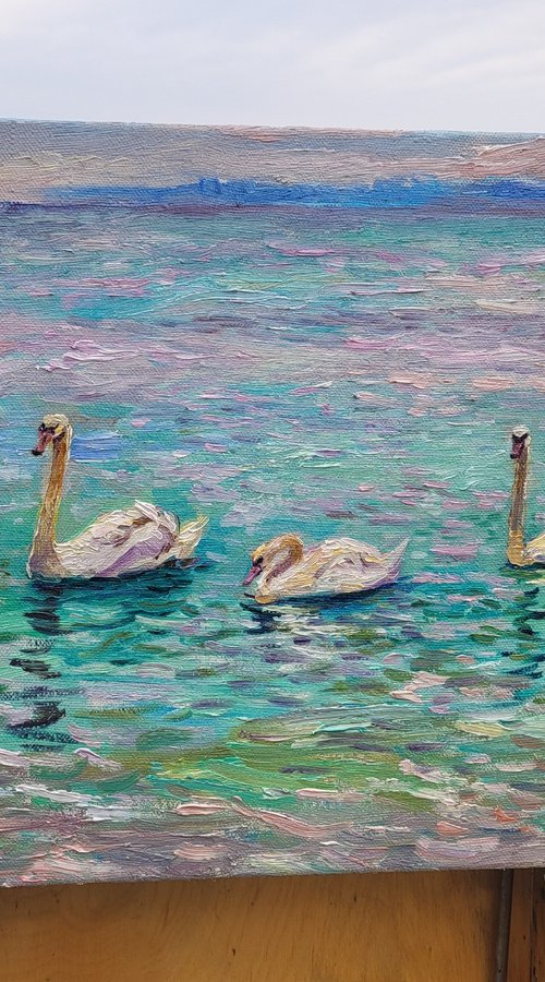 Swans of the Black Sea. by Svitlana Gunchenko