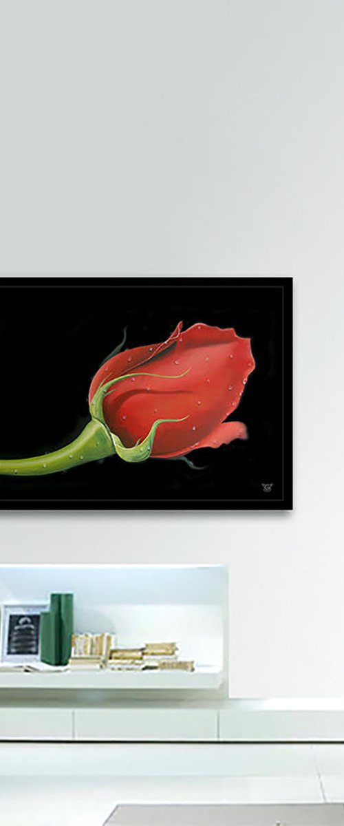 Red Rose by Gardani Art