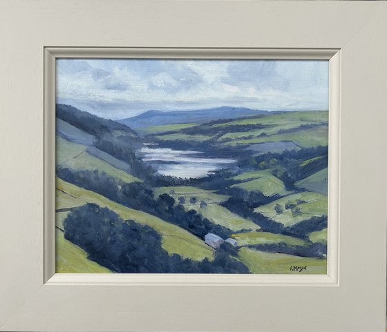 View Over Gouthwaite Reservoir
