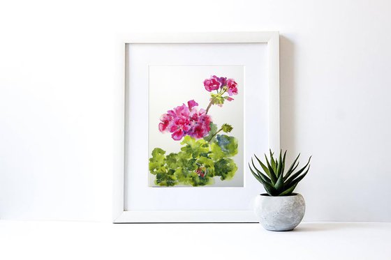 Blooming pelargonium sketch