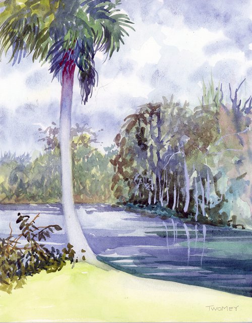 Silver Springs, Early Spring Florida by Catherine Twomey