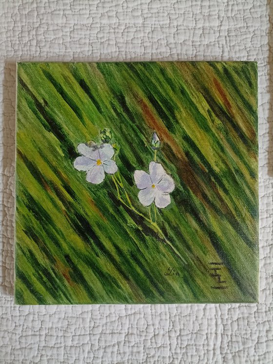 flowers