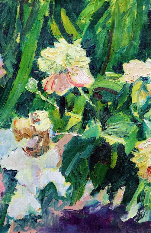 Peonies and irises in a garden by Dima Braga