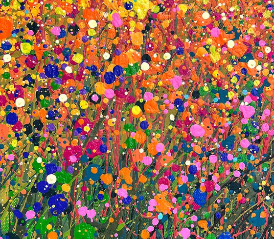 Dreams in Bloom