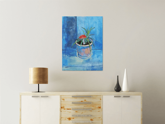 Amanita and Aloe. Relationship