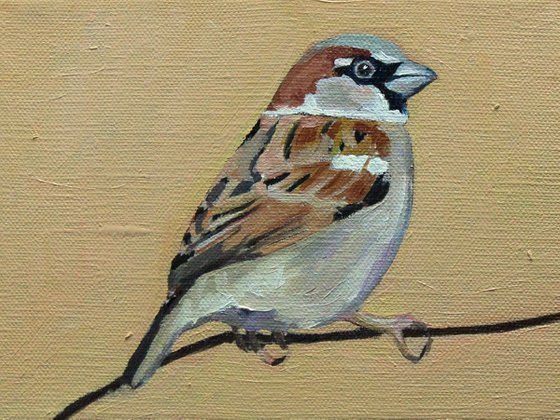 Autumn Sparrow